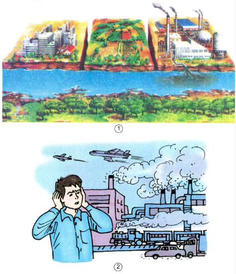 Giải Vở bài tập Khoa học lớp 5 bài 67