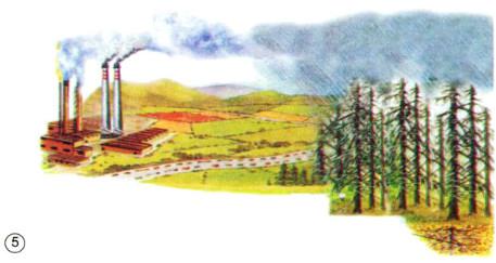 Giải Vở bài tập Khoa học lớp 5 bài 67