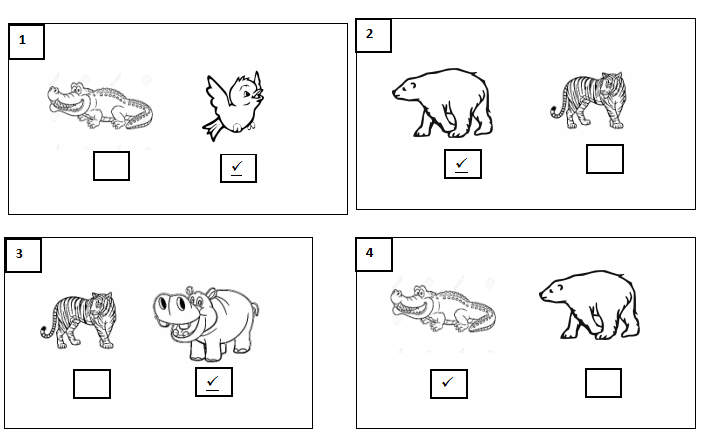 Đề thi học kì 2 lớp 1 môn Tiếng Anh