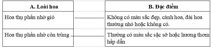 Đề thi học kì 2 môn Khoa học lớp 5