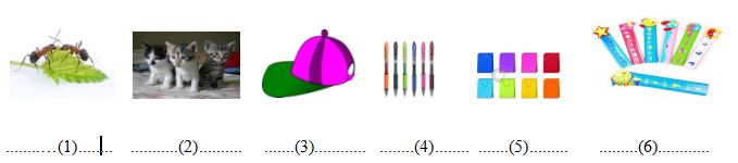 Bài tập tiếng Anh lớp 2