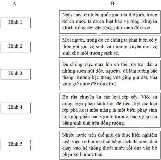 Giải Vở bài tập Khoa học lớp 5 bài 68