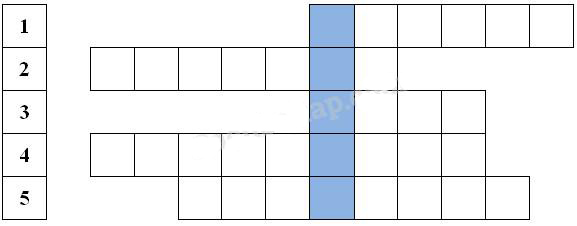 Giải Vở bài tập Khoa học lớp 5 bài 69