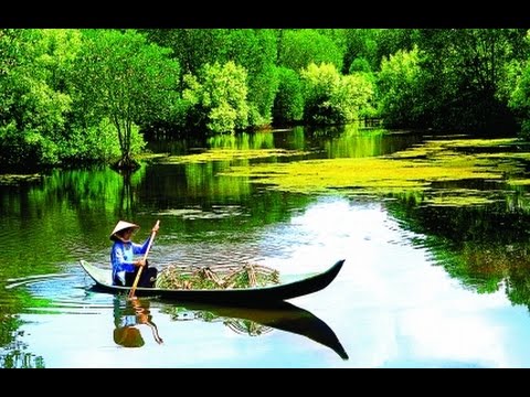 Sông nước cà mau