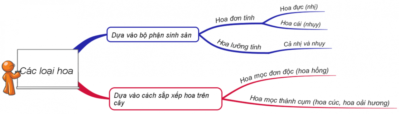 Lý thuyết Sinh học lớp 6 bài 29