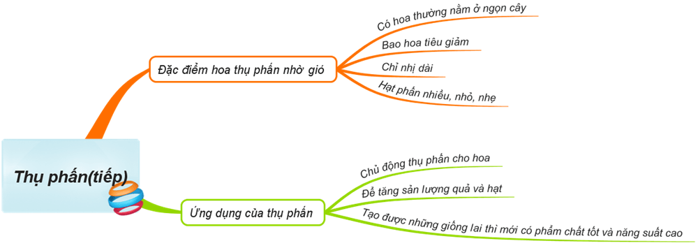 Lý thuyết Sinh học lớp 6 bài 30