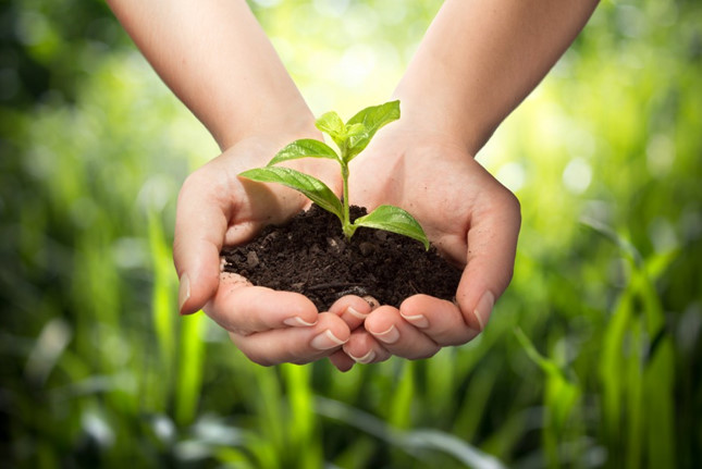 Địa phương em có tổ chức một đợt thi sáng tác về đề tài "Bảo vệ môi trường"