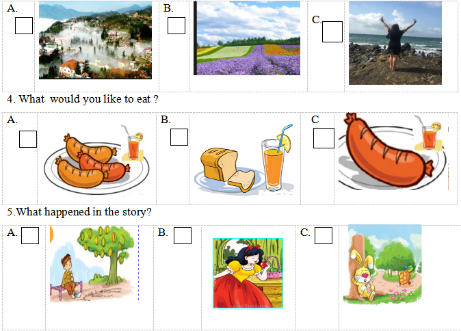 Đề thi học kì 2 lớp 5 môn Tiếng Anh