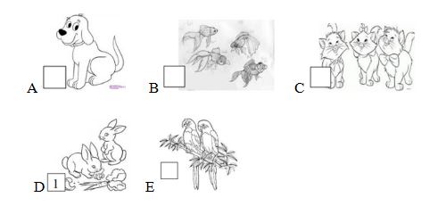 Đề thi học kì 2 môn Tiếng Anh lớp 4 có file nghe năm học 2018 - 2019 số 1