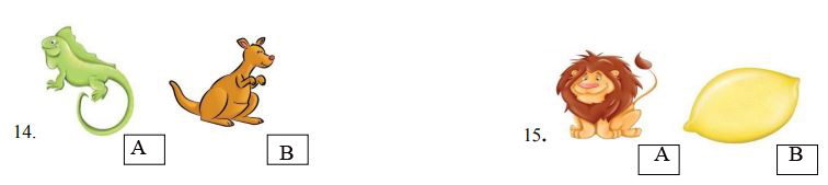 Đề thi học kì 2 lớp 1 môn Tiếng Anh có file nghe năm học 2018 - 2019 số 1