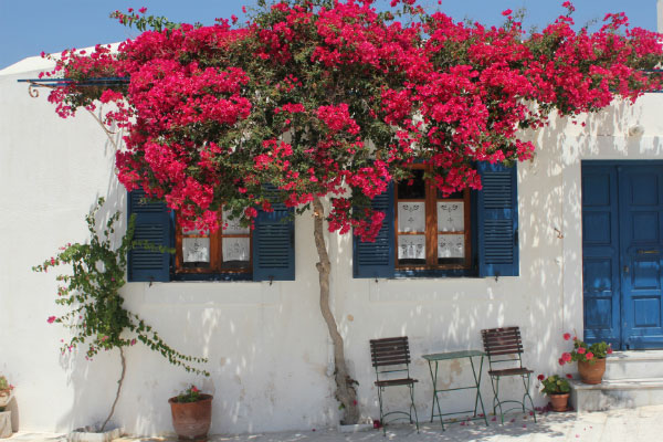 Trắc nghiệm tình yêu