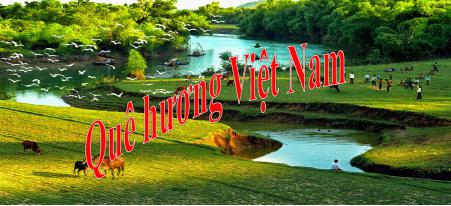 Đề thi học kì 2 môn Tin lớp 5