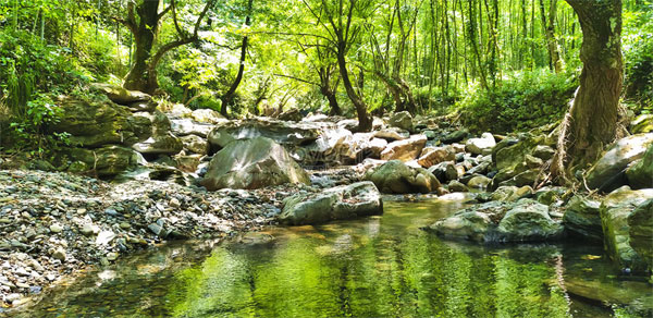 Trắc nghiệm tính cách