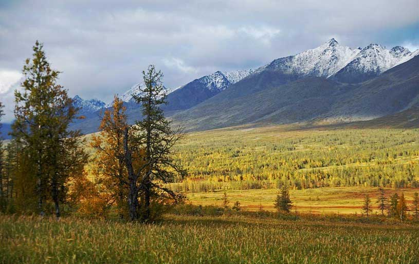 Trắc nghiệm tính cách