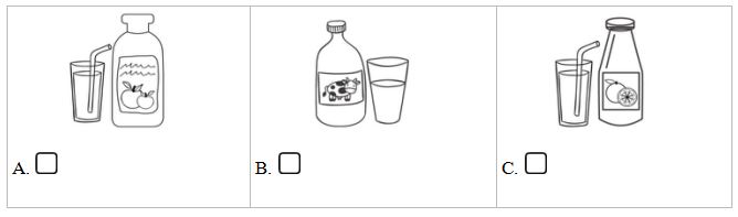 Đề kiểm tra Tiếng Anh lớp 5 có đáp án