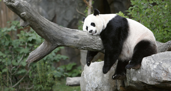 Luyện đọc Tiếng Anh