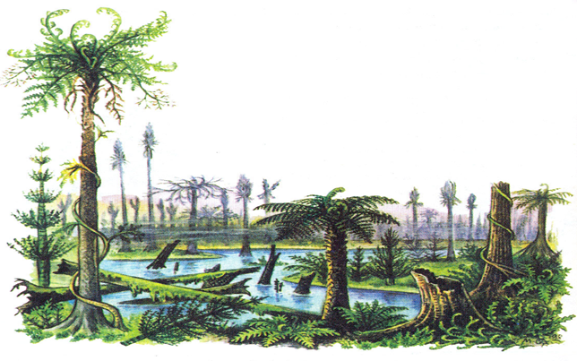 Lý thuyết Sinh học lớp 6 bài 39