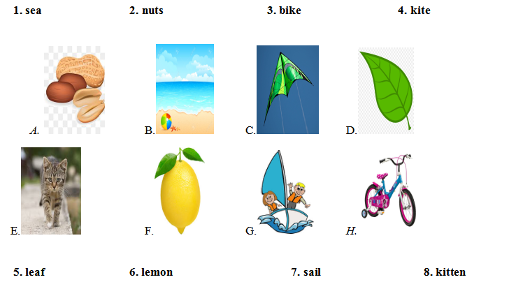 Đề thi học kì 2 lớp 1 môn Tiếng Anh