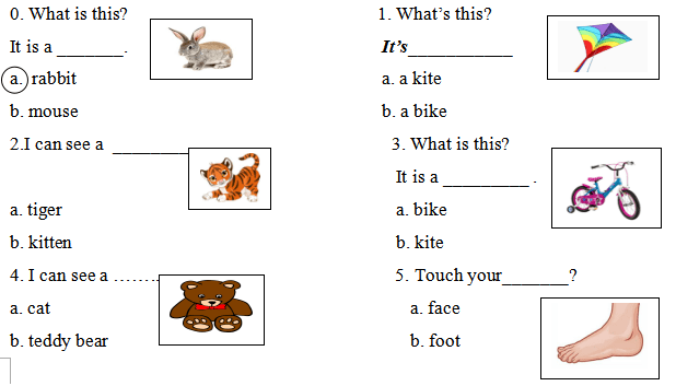 Đề thi học kì 2 lớp 1 môn Tiếng Anh