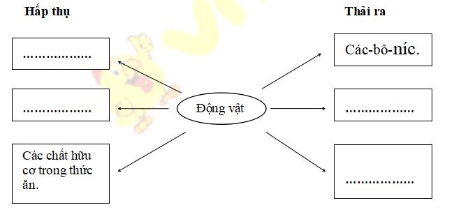 Đề thi học kì 2 môn Khoa học lớp 4