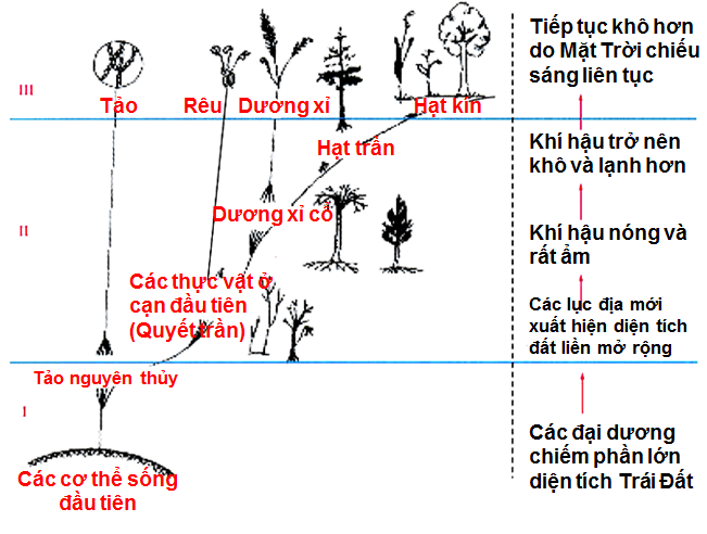 Lý thuyết Sinh học lớp 6 bài 44