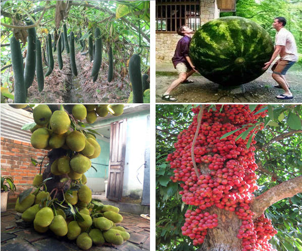 Lý thuyết Sinh học lớp 6 bài 45