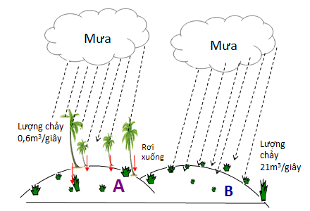 Lý thuyết Sinh học lớp 6 bài 47