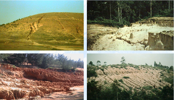 Lý thuyết Sinh học lớp 6 bài 47