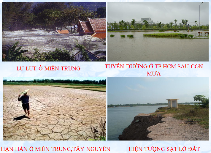 Lý thuyết Sinh học lớp 6 bài 47