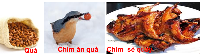 Lý thuyết Sinh học lớp 6 bài 48