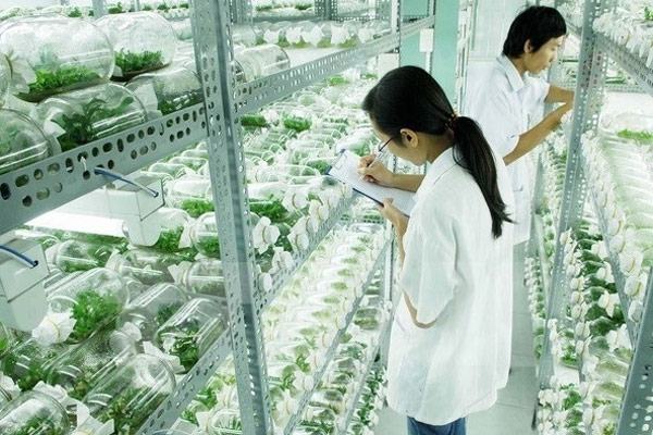 Trường Đại Học Bách Khoa Hồ Chí Minh