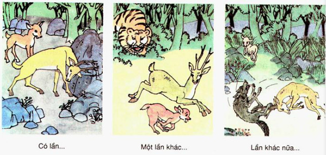 Giải bài tập Kể chuyện lớp 2: Bạn của Nai Nhỏ câu 1