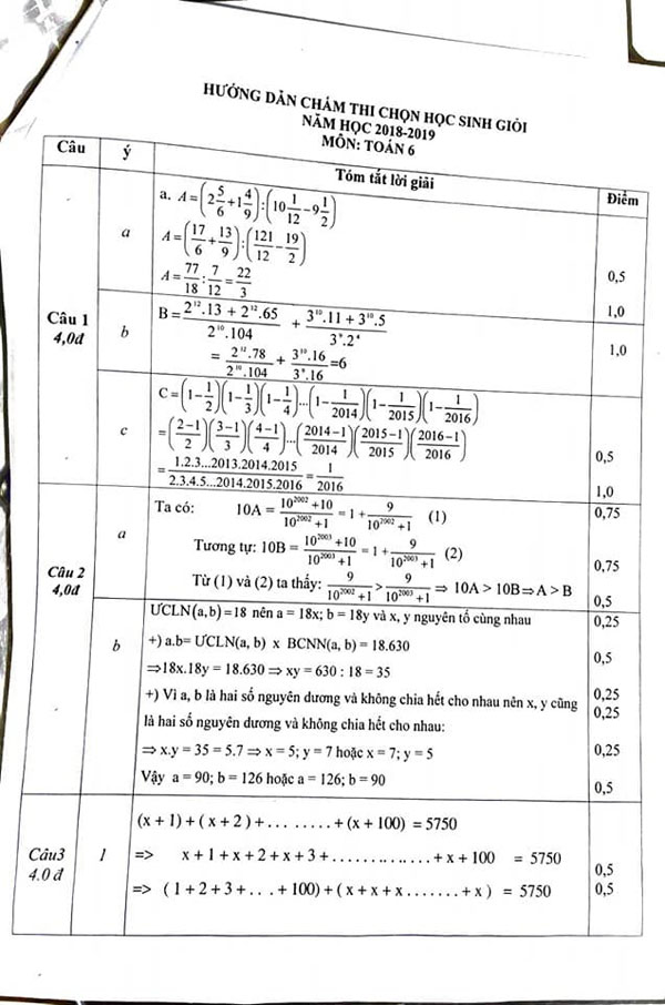 Đề thi HSG Toán lớp 6