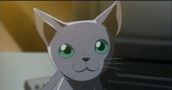 Bạn am hiểu về Conan đến mức nào?