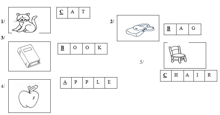Đề kiểm tra học kì 2 môn Tiếng Anh lớp 1 trường Tiểu học Minh Hòa