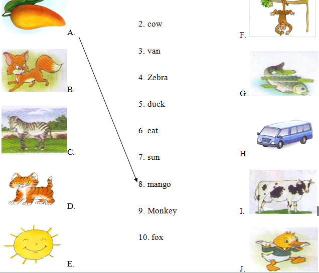 Đề thi học kì 2 lớp 1 môn Tiếng Anh
