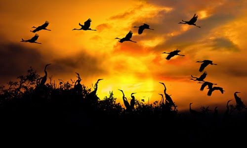 Phân tích hai câu thơ đầu bài Chiều tối của Hồ Chí Minh