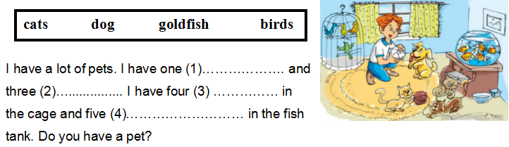 Đề thi học kì 2 lớp 3 môn Tiếng Anh