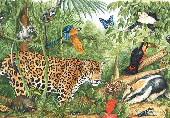 Thử tài với câu đố siêu xoắn