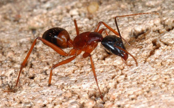 Những điều về AXIT dành cho bạn nào ham học hỏi!