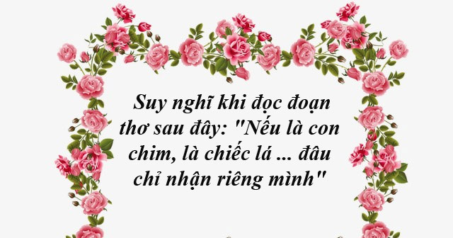 CON CHIM HÓT VANG NHƯ TIẾNG LÒNG CỐNG HIẾN CHO ĐẤT NƯỚC