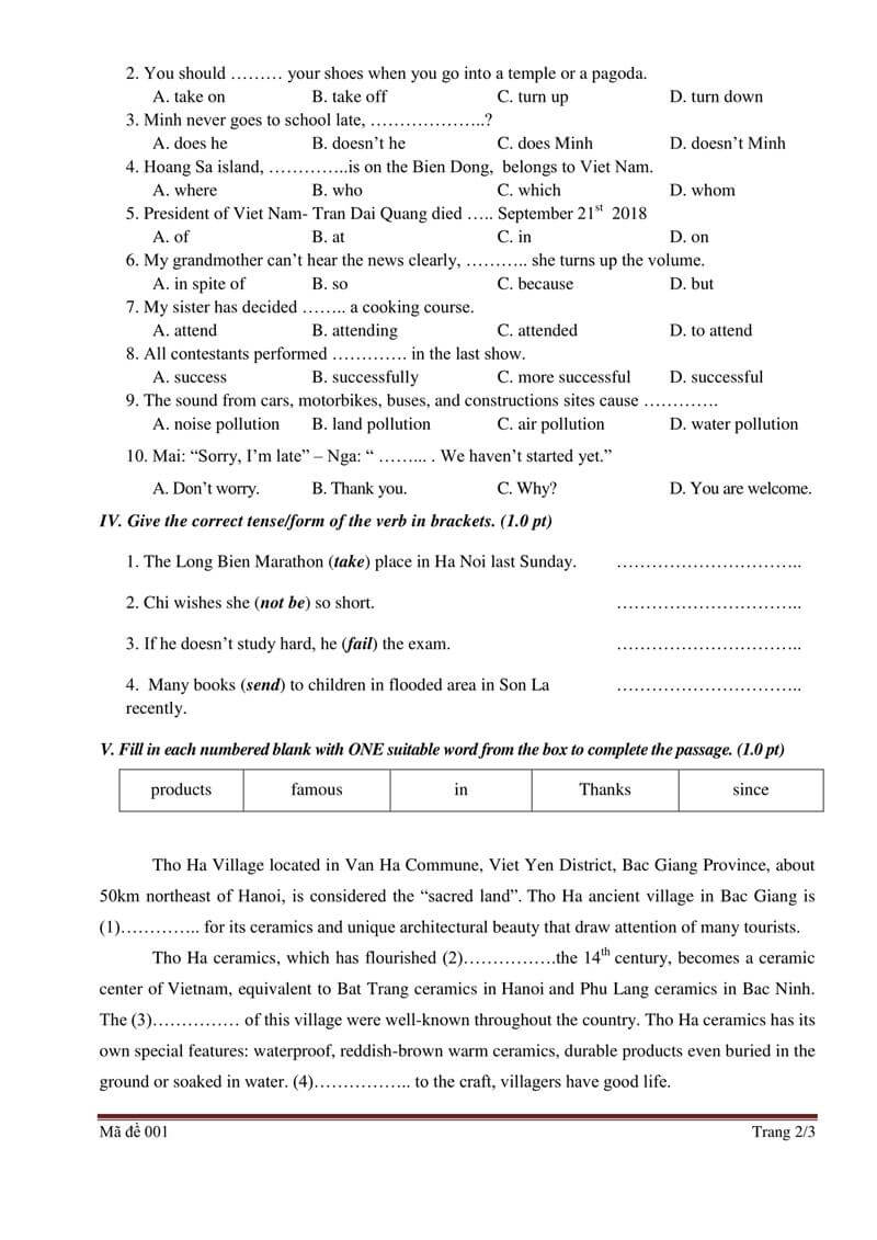 Đề thi vào lớp 10 môn Tiếng Anh