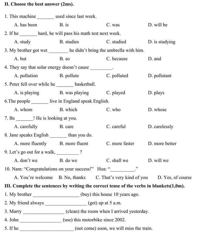 Đề thi vào lớp 10 môn Tiếng Anh