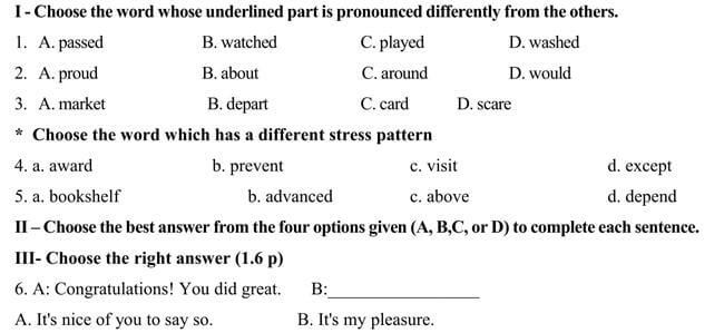 Đề thi vào lớp 10 môn Tiếng Anh