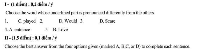 Đề thi vào lớp 10 môn Tiếng Anh