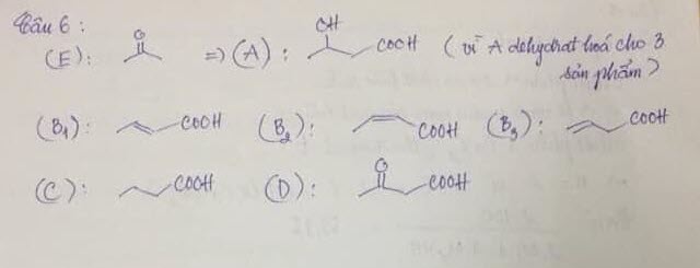 Đề thi tuyển sinh vào lớp 10 môn Hóa học Trường Phổ Thông Năng Khiếu, Hồ Chí Minh năm học 2019 - 2020