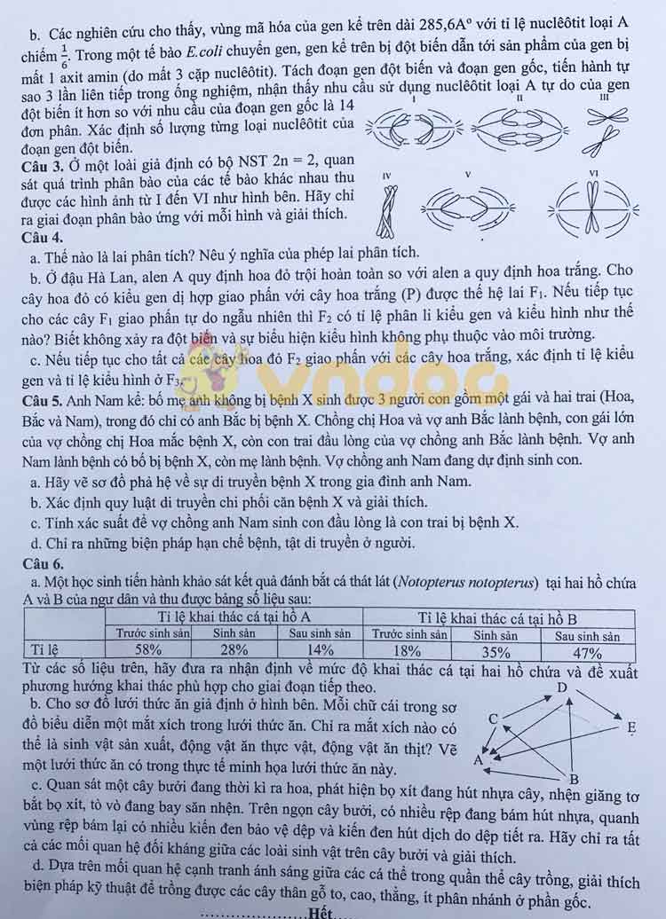 Đề thi tuyển sinh vào lớp 10 môn Sinh học THPT Chuyên Sư Phạm Hà Nội năm học 2019 - 2020 (chuyên Sinh)