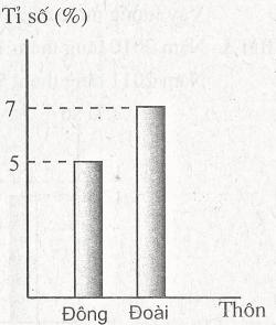 Bài tập cuối tuần môn Toán lớp 6
