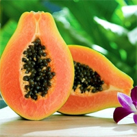 Tranh tô màu quả đu đủ