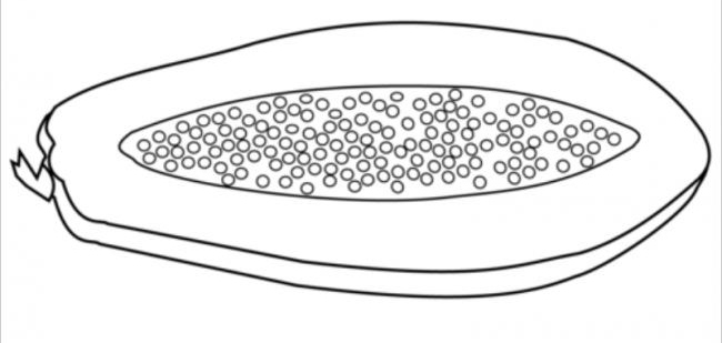 tranh to-mau-qua-du-du-4